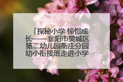 探秘小学 憧憬成长——襄阳市樊城区第二幼儿园衡庄分园幼小衔接班走进小学开展参观体验活动